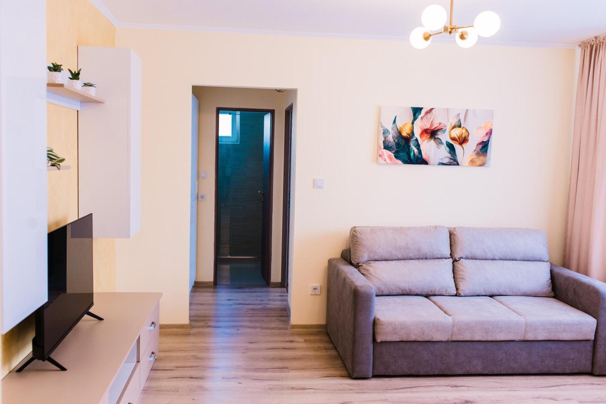 Central White Apartment Сату-Маре Экстерьер фото