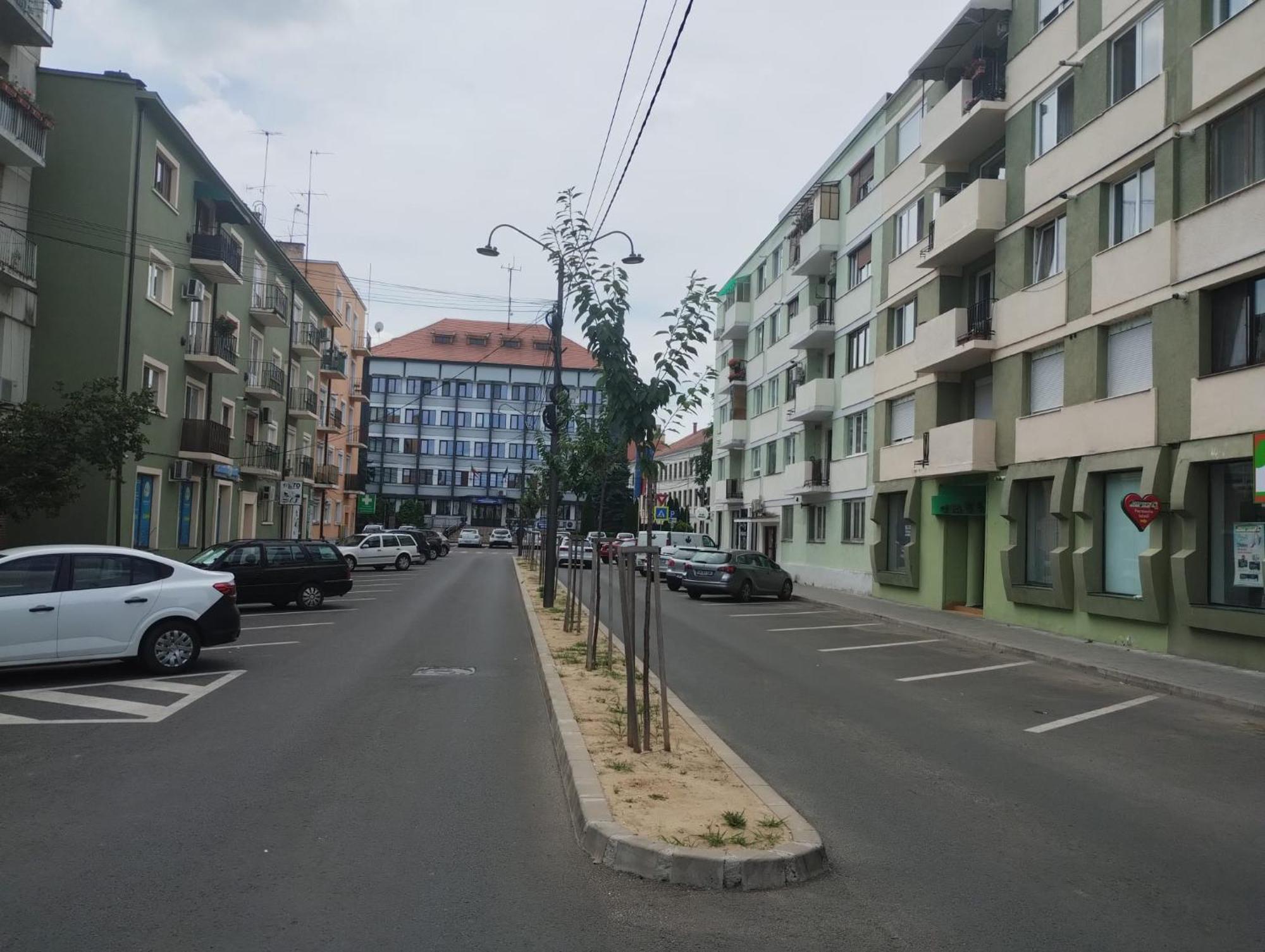 Central White Apartment Сату-Маре Экстерьер фото
